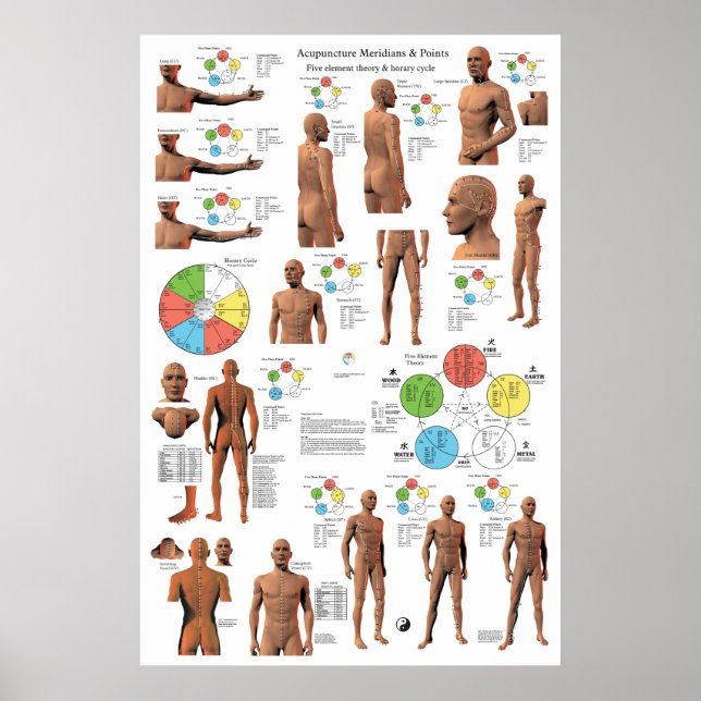 Acupuncture Meridian Points och Pathways Poster (Framsidan)