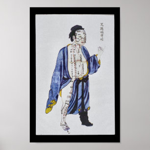 Acupuncture Stomach Meridian Foot Yangming Poster