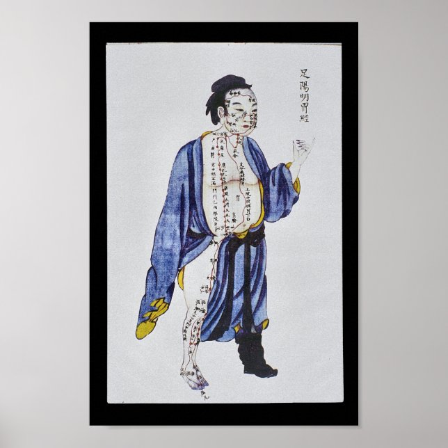 Acupuncture Stomach Meridian Foot Yangming Poster (Framsidan)