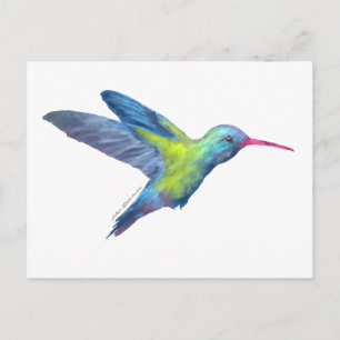 AD hummingbird Vykort