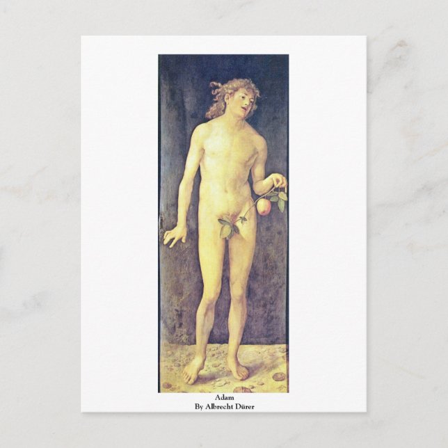 Adam by Albrecht Dürer Vykort (Framsida)