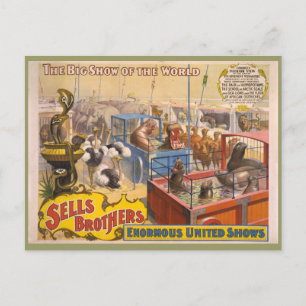 Adam Forepaugh och Sells Brothers Circus Poster Vykort