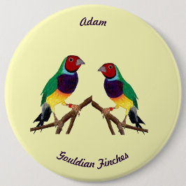 ADAM ~ Gouldian Finch ~ Personalised ~ Knapp