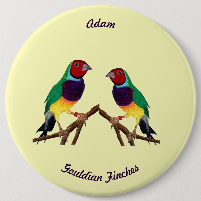 ADAM ~ Gouldian Finch ~ Personalised ~ Knapp (Framsida)