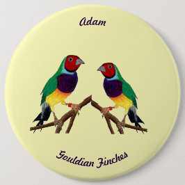 ADAM ~ Gouldianfink ~ Personlig ~ Knapp