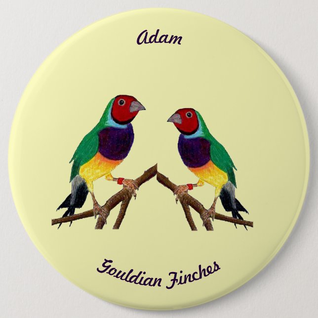 ADAM ~ Gouldianfink ~ Personlig ~ Knapp (Framsida)