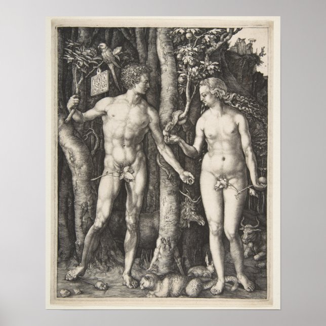 Adam och Kväll, 1504 Poster (Framsidan)