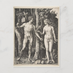 Adam och Kväll, 1504 Vykort