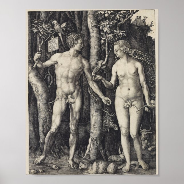 Adam och Kväll, Engrave av Albrecht Durer Poster (Framsidan)