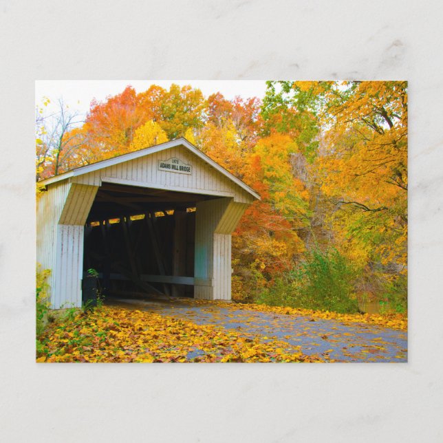 Adams Mill Old Covered Bridge, Indiana Vykort (Framsida)