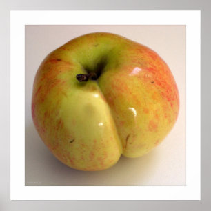 ADAMSÄPPLEaffisch för LA POMME D'ADAM Poster