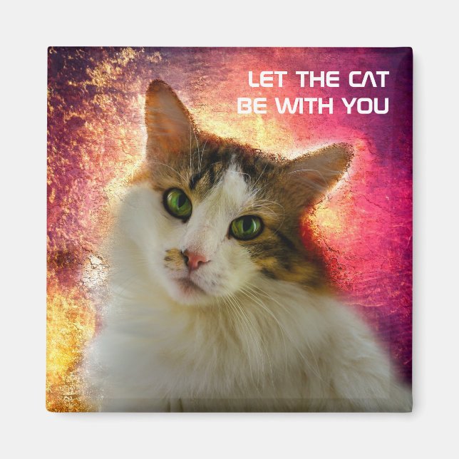 Adapter Calico Cat Magnet (Framsidan)