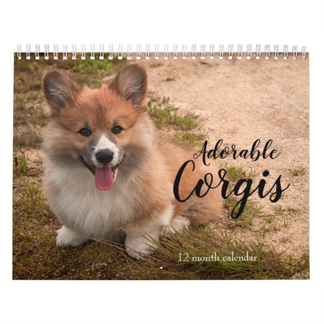 Adapter Corgi Hundar 2026 Kalender (Omslag)