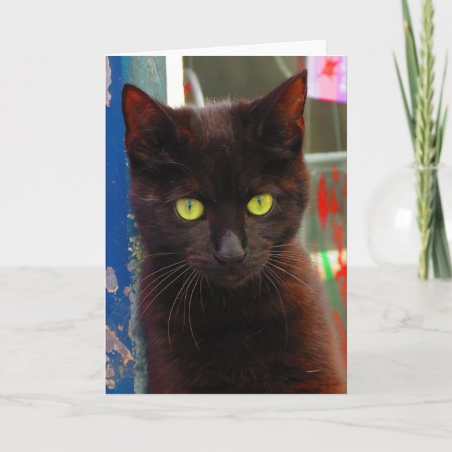 Adapter för svart katt kort (Framsida)