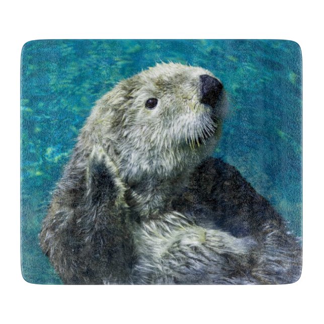 Adapter Sea Otter Cute Blue Vatten (Framsidan)