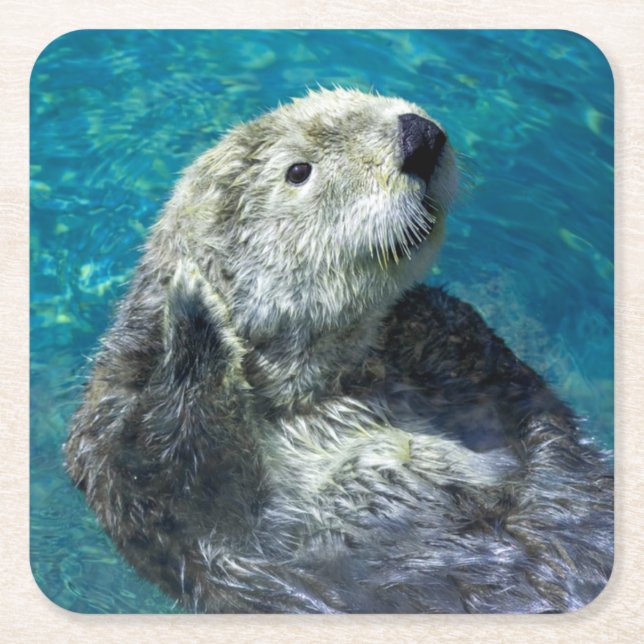 Adapter Sea Otter Cute Blue Vatten Underlägg Papper Kvadrat (Framsidan)