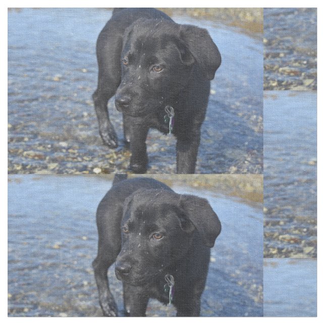 Adapter Svart lab Puppy-Hund Tyg (Närbild)