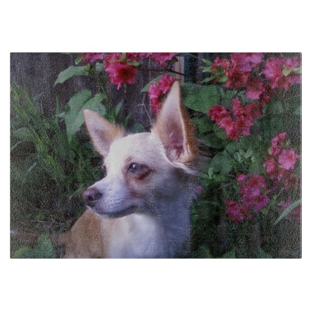 "Add-your-Own Photo" Glass Caking board (Framsidan)