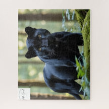 Adda_Bouch gepard Pussel