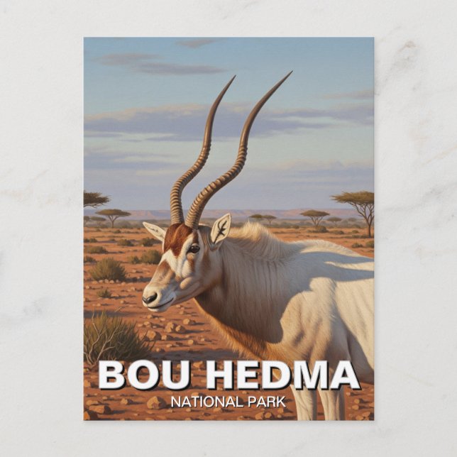 Addax Antelope i Bou Hedma nationalpark i Tunisien Vykort (Framsida)