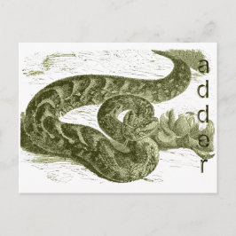 Adder (orm) vykort