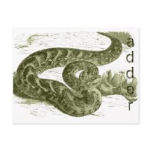 Adder (orm)