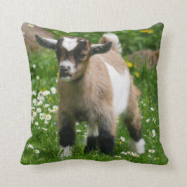 Adderande nigerianska Dwarf Goat Kid Kudde