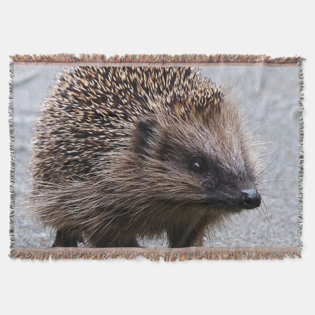 Adderande ungt hedgehog filt (Framsidan)