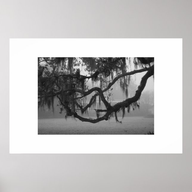 Addis House Poster (Framsidan)