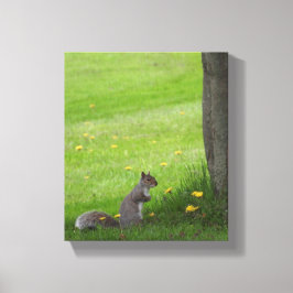 Adekvat ekorre i Grass Canvastryck