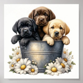 Adekvata hundvalpar i en blomvägg Poster