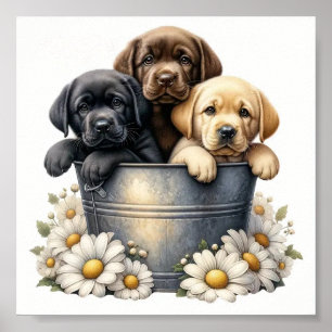Adekvata hundvalpar i en blomvägg Poster