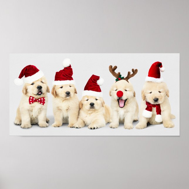 Adekvata valpar poster (Festive dogs' ready for the Christmas Holiday!)