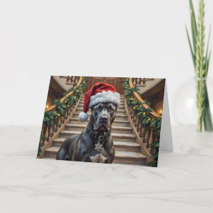 Ädel Cane Corso Hund Julvak Kort