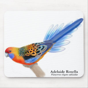 Adelaide Rosella papegoja Mousepad Musmatta