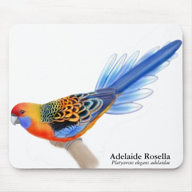 Adelaide Rosella papegoja Mousepad Musmatta (Framsidan)