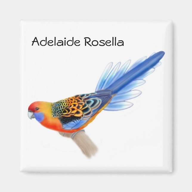 Adelaide Rosella Parrot Magnet (Framsidan)