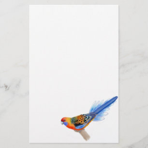 Adelaide Rosella Parrot Stationeri Brevpapper