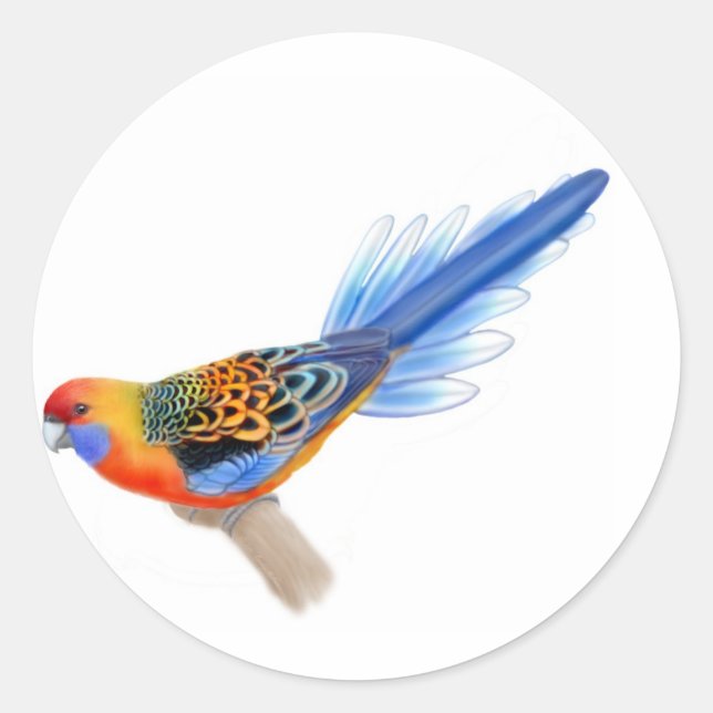 Adelaide Rosella Sticker Runt Klistermärke (Framsida)