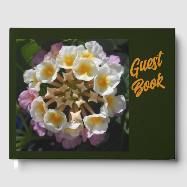 Adelaparre Gästböcker (Framsida)