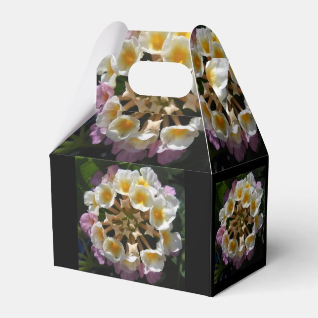 Adelaparre Presentaskar (Framsidan Sidan)