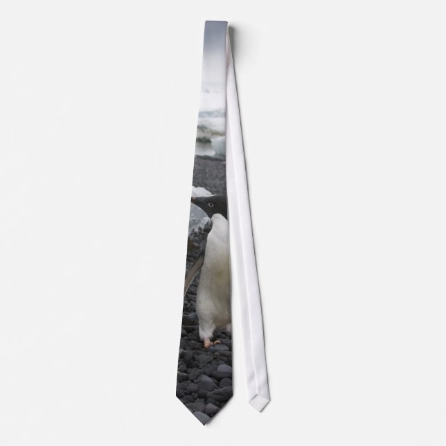 Adele pingvinTie Slips (Framsida)
