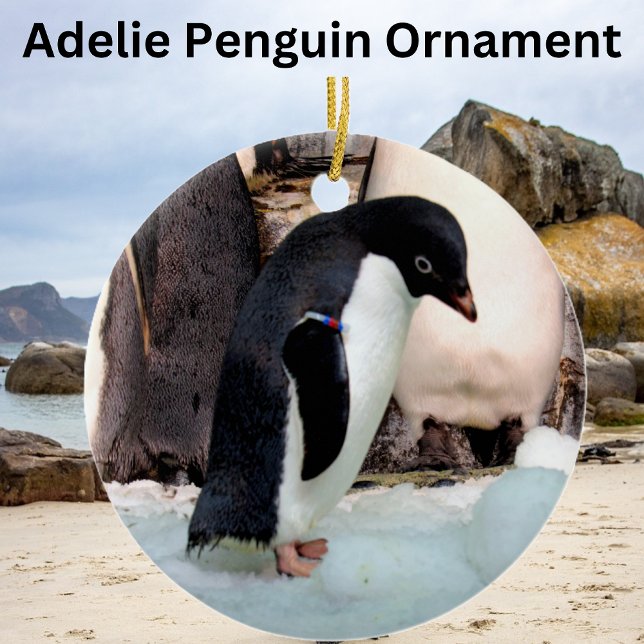Adelie Penguin Julgransprydnad Keramik (Skapare uppladdad)