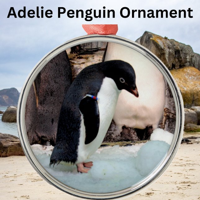 Adelie Penguin Preimium Ornament (Skapare uppladdad)