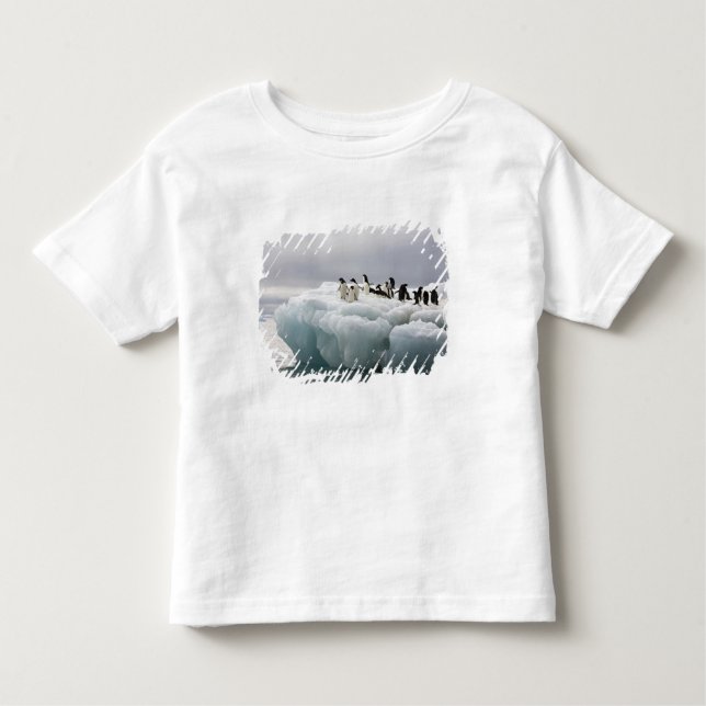 Adelie Penguin Pygoscelis adeliae), T-shirt (Framsida)