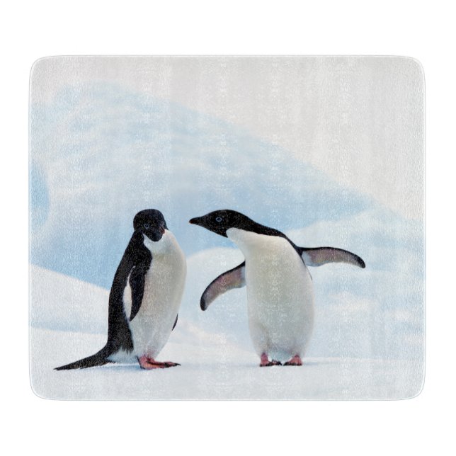 Adelie Penguins (Framsidan)
