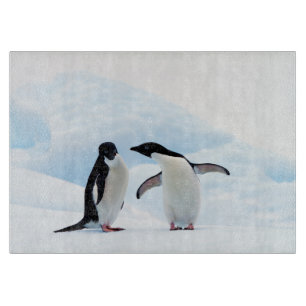 Adelie Penguins