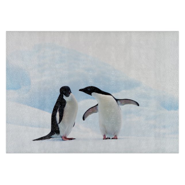 Adelie Penguins (Framsidan)