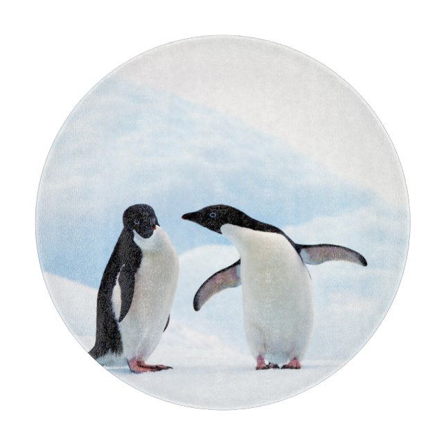 Adelie Penguins (Framsidan)