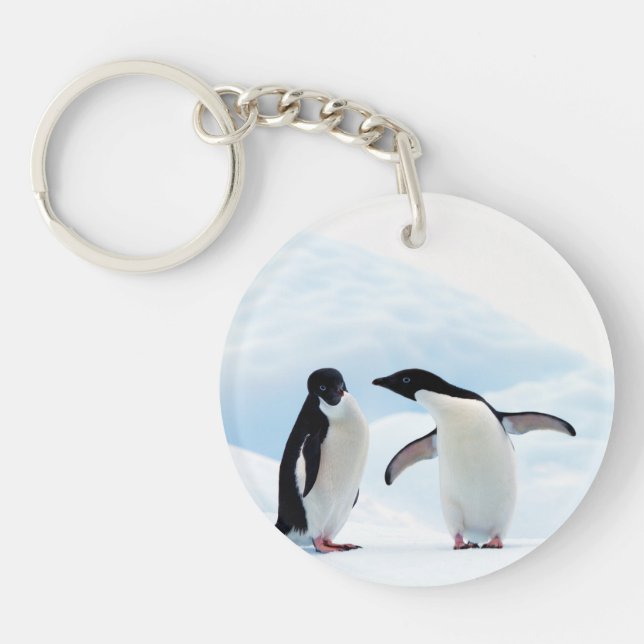 Adelie Penguins (Framsidan)